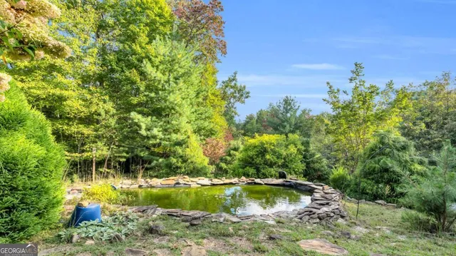 $990,000 | 691 Mitchell Branch Road, Morganton, GA 30560