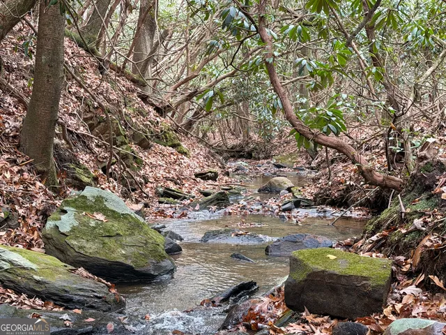 $990,000 | 691 Mitchell Branch Road, Morganton, GA 30560