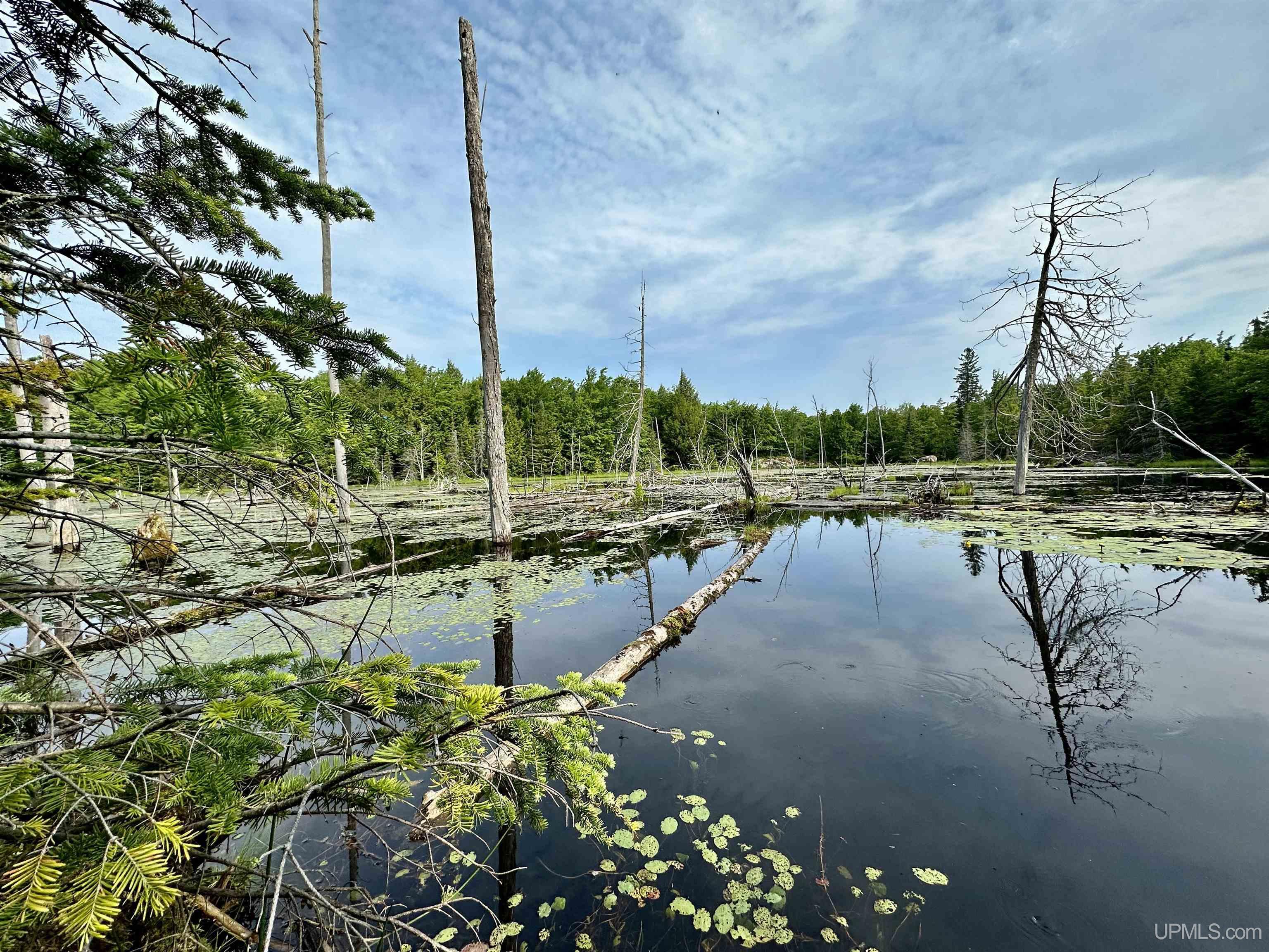 510 Rd Negaunee Mi 49866 Road Negaunee, MI 49866 - Photo 58 of 71