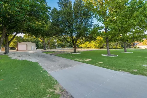 a view of a park with large trees