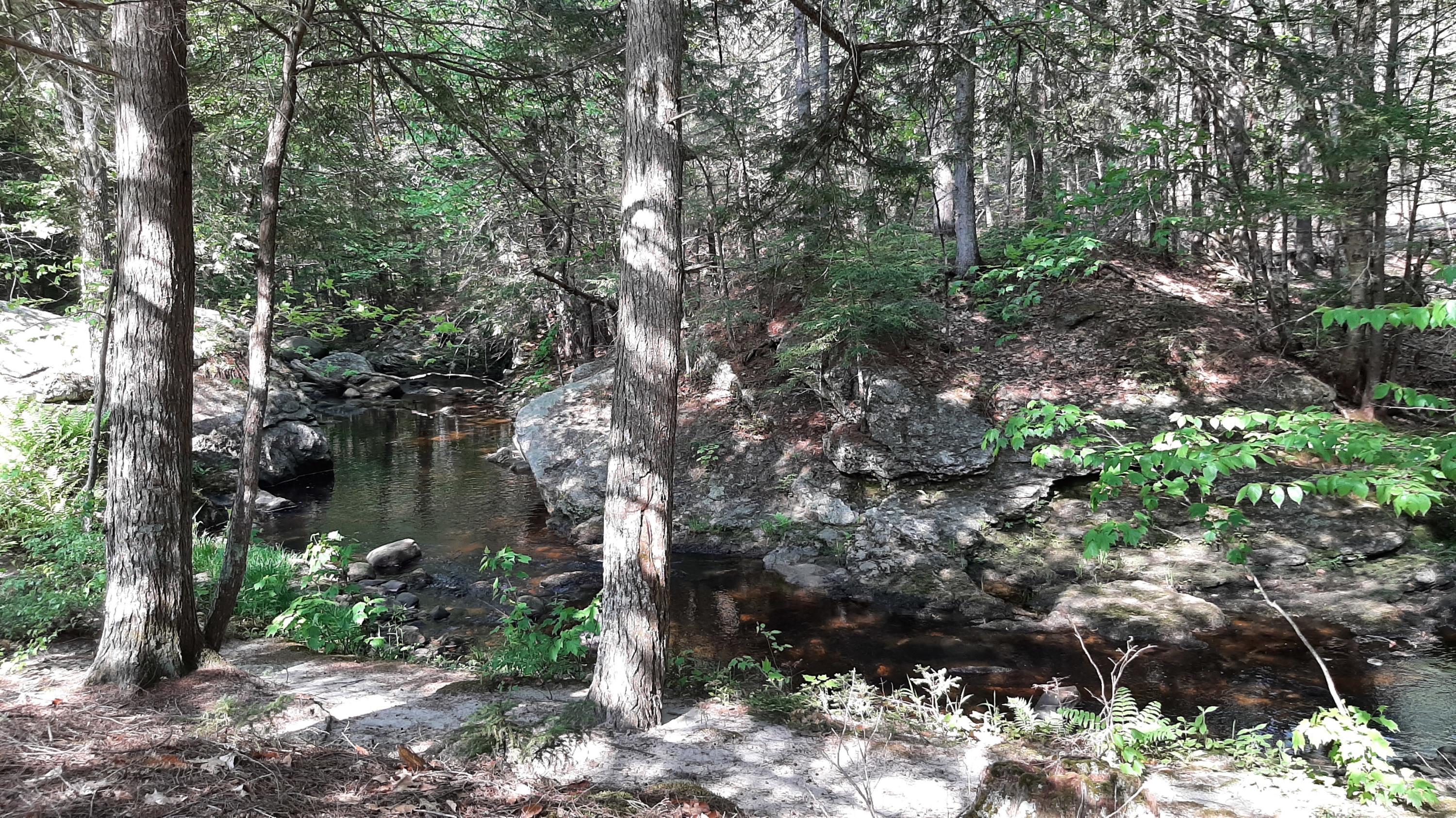 526 Buckfield Road Paris, ME 04281 - Photo 22 of 36 JK brook 1