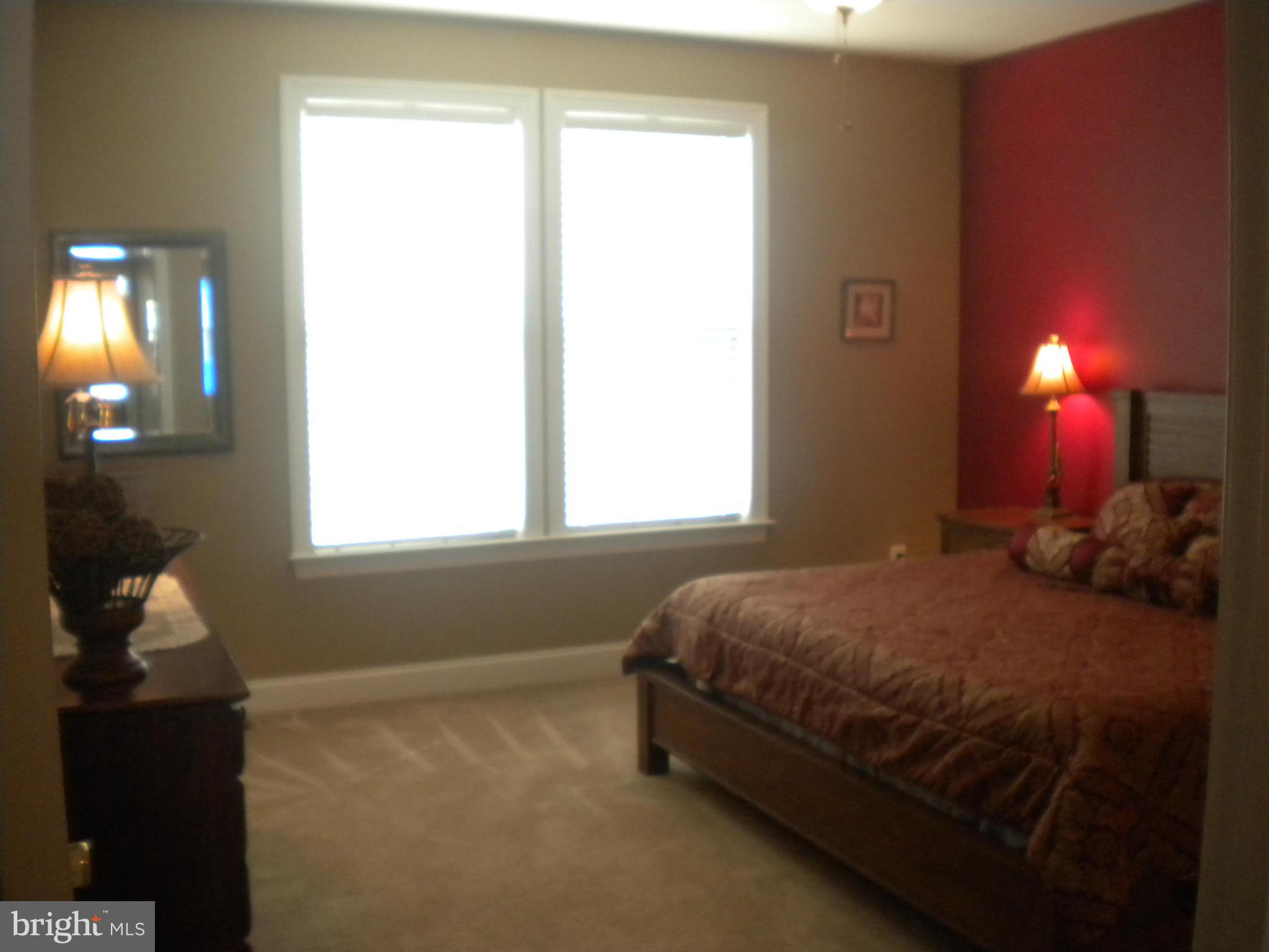 421 Rivanna Falling Waters, WV 25419 - Photo 11 of 30 Bedroom (Master)