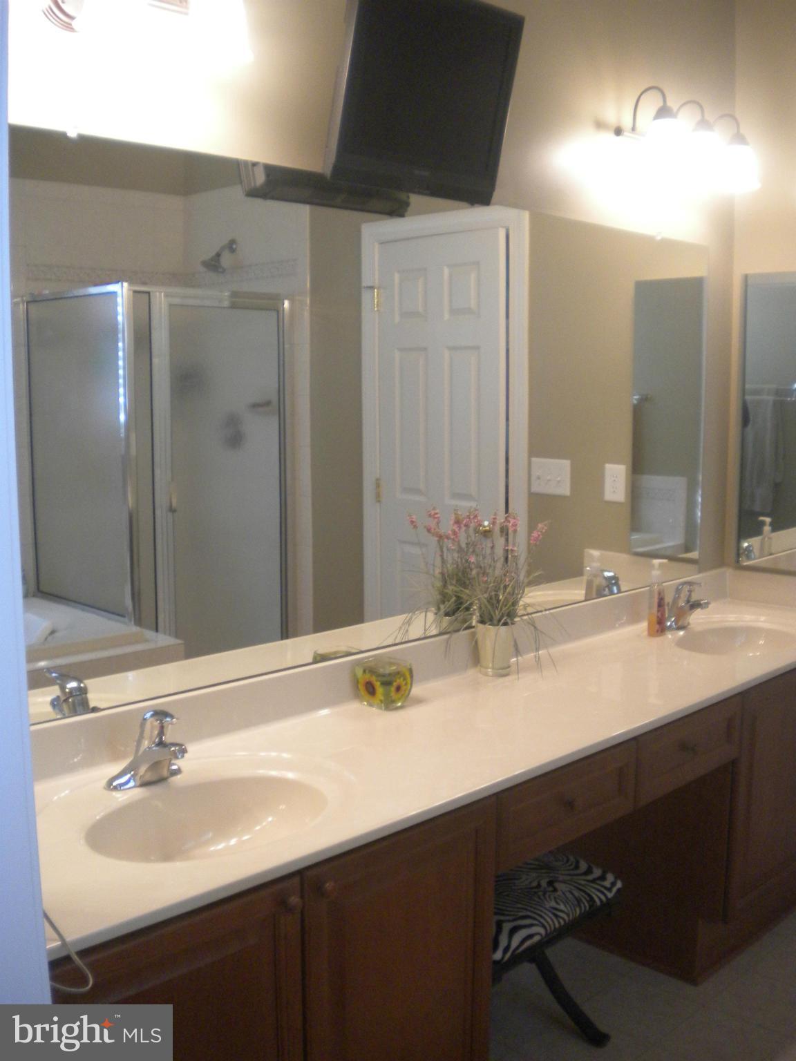 421 Rivanna Falling Waters, WV 25419 - Photo 12 of 30 Bath (Master)
