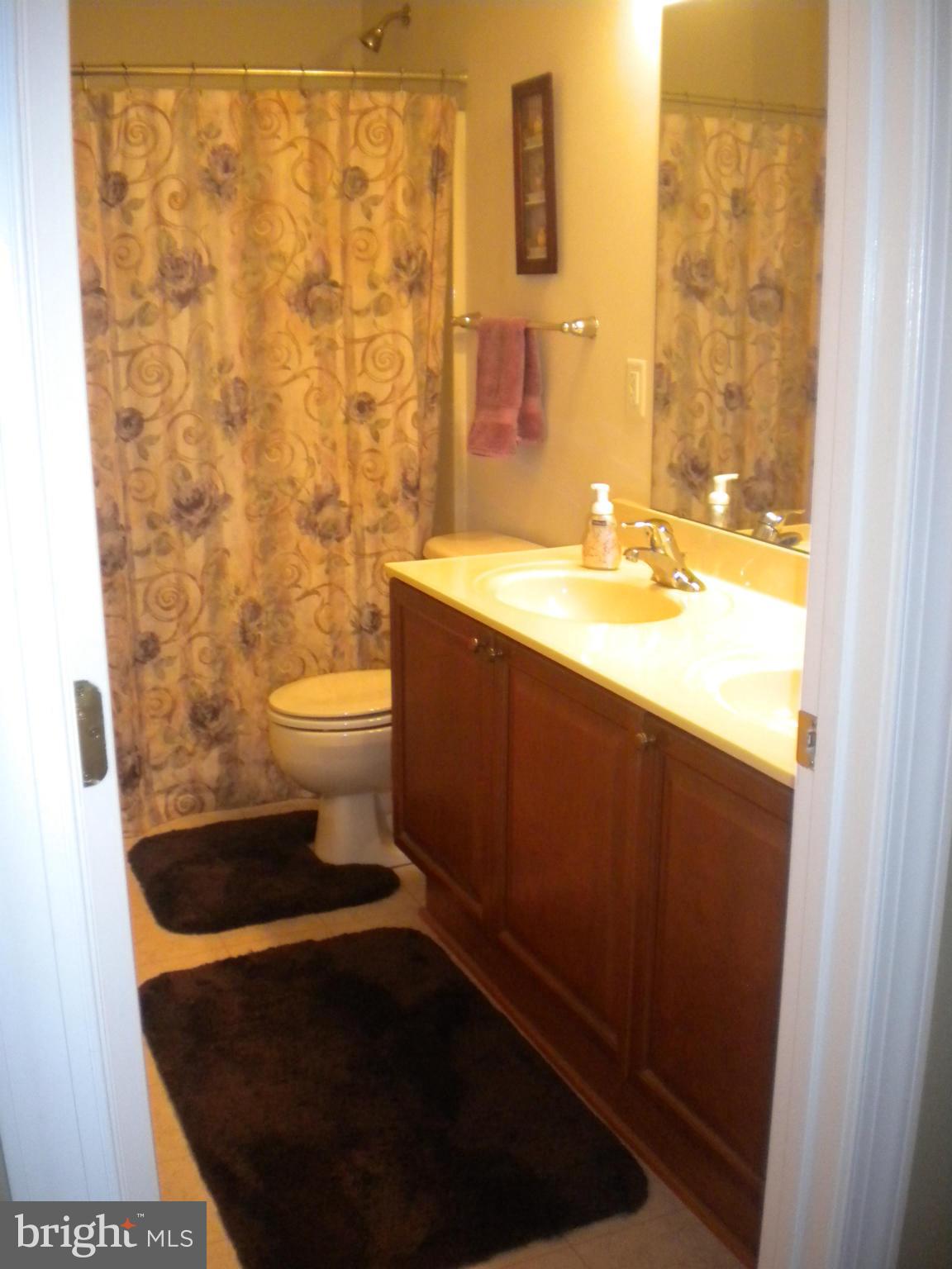 421 Rivanna Falling Waters, WV 25419 - Photo 22 of 30 Bath