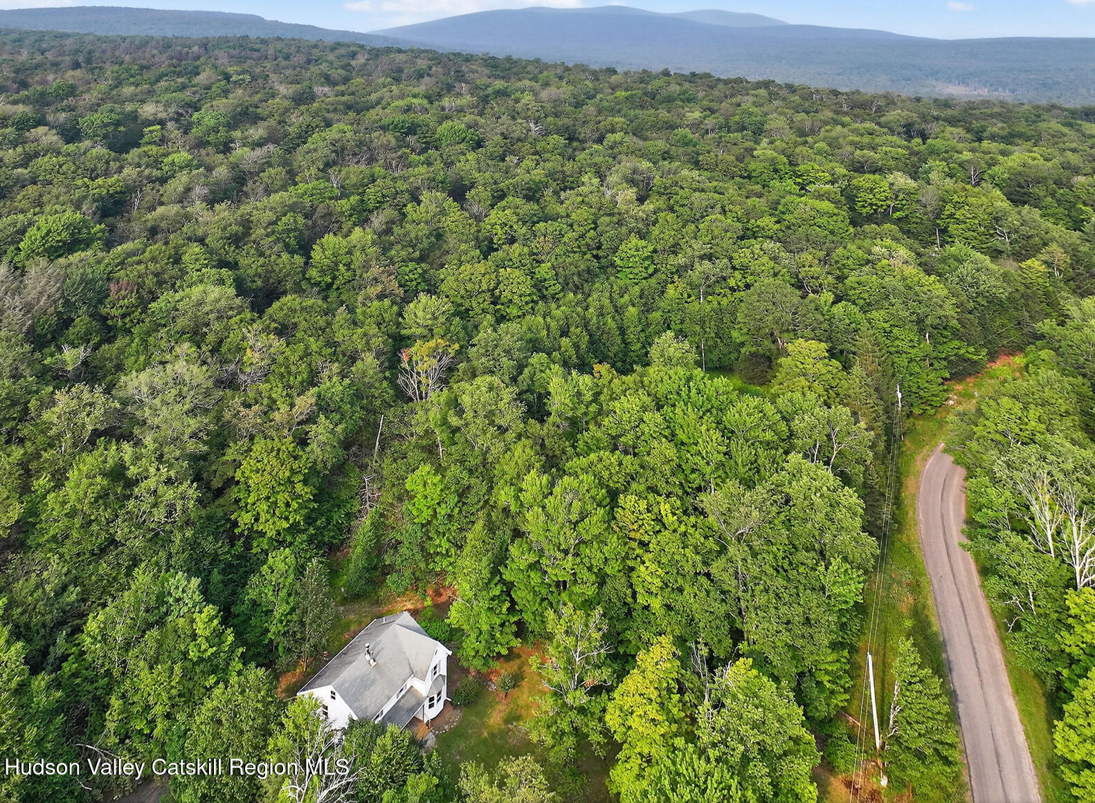 1240 Dymond Road Grahamsville, NY 12740 - Photo 8 of 44 IMG_3311