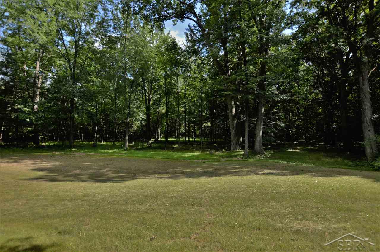 8660 Rathbun Road Birch Run, MI 48415 - Photo 17 of 18 31354760-16.JPG