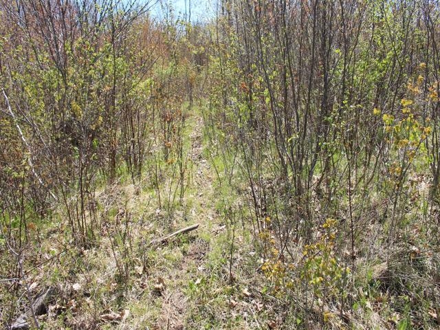 19081 Erickson Drive Dunbar, WI 54119 - Photo 25 of 87