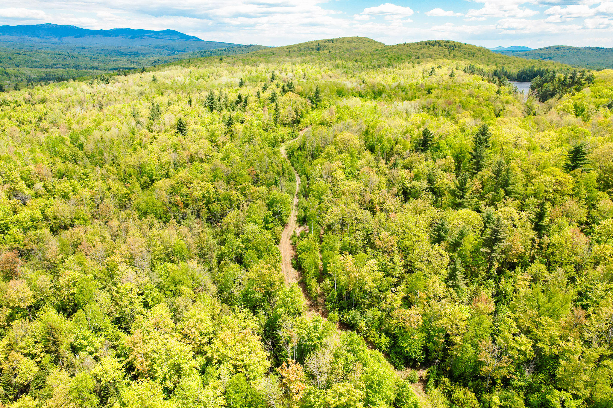 2 Mud Pond Road Madrid Township, ME 04966 - Photo 10 of 42 Madrid Lot