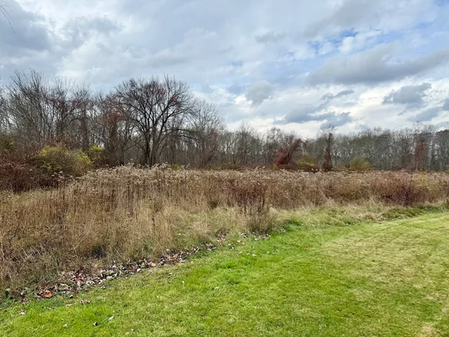 a view of a lake with a yard