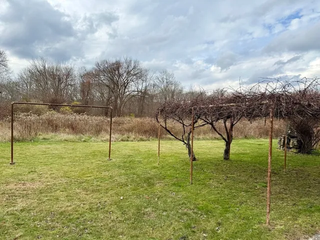 a view of yard with swimming pool and trees in the background