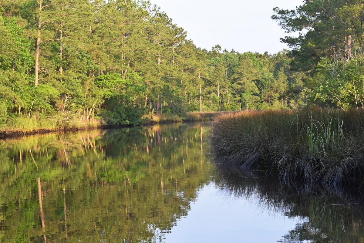 1230 Thames Road Awendaw, SC 29429 - Photo 1 of 14 thumb_DSC_0010