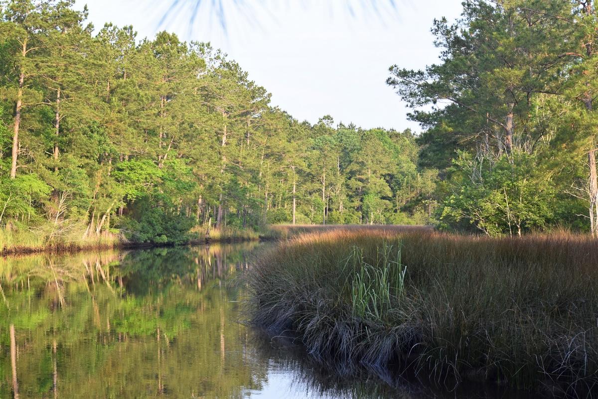 1230 Thames Road Awendaw, SC 29429 - Photo 5 of 14 thumb_DSC_0008