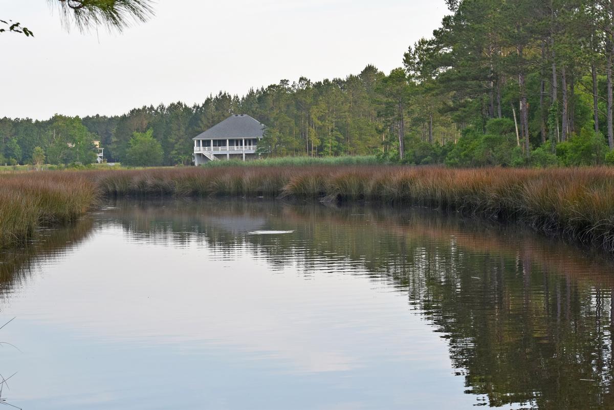 1230 Thames Road Awendaw, SC 29429 - Photo 8 of 14 thumb_DSC_0013