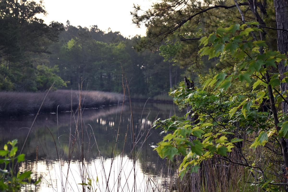 1230 Thames Road Awendaw, SC 29429 - Photo 9 of 14 thumb_DSC_0014