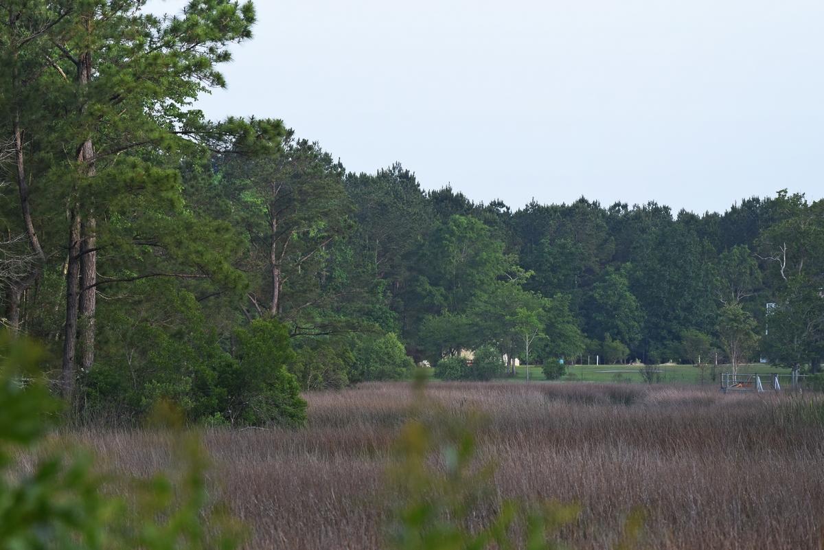1230 Thames Road Awendaw, SC 29429 - Photo 10 of 14 thumb_DSC_0015