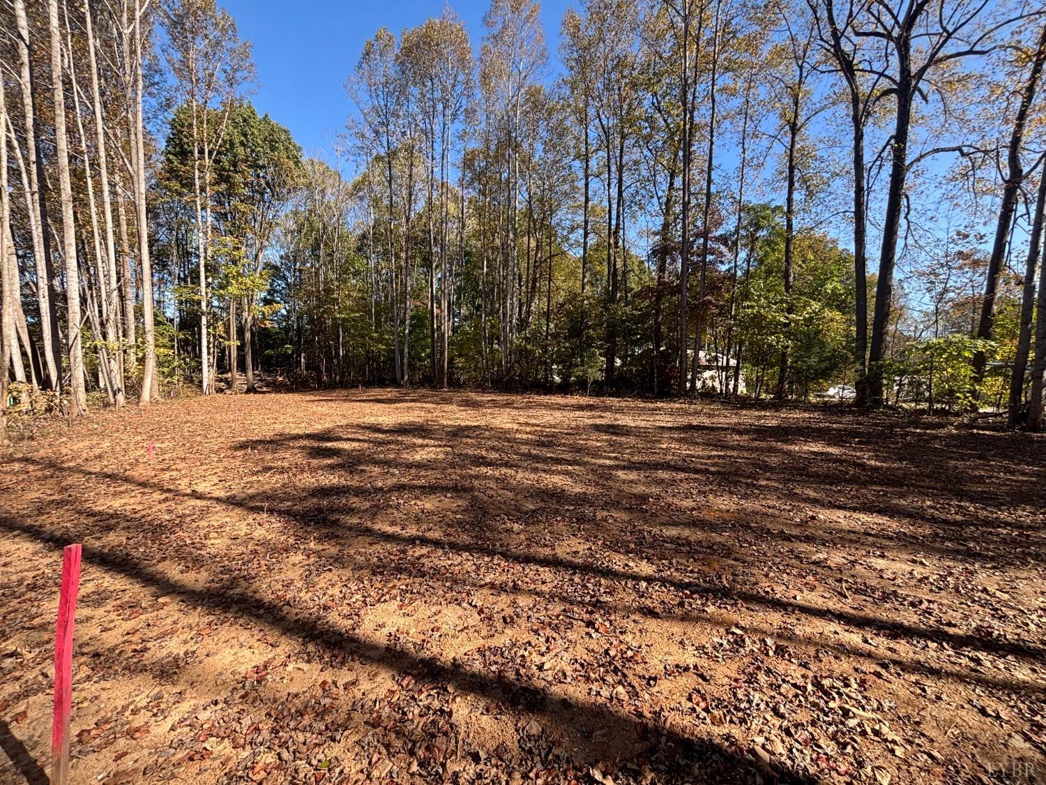 0 Locust Drive Cascade, VA 24069 - Photo 3 of 8 a view of outdoor space with trees