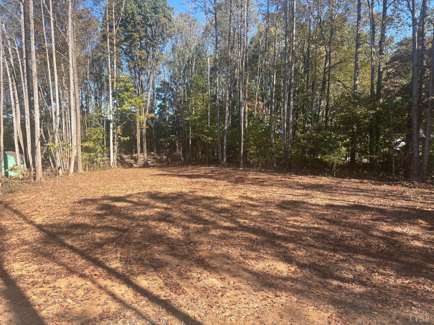 0 Locust Drive Cascade, VA 24069 - Photo 4 of 8 a view of outdoor space with trees