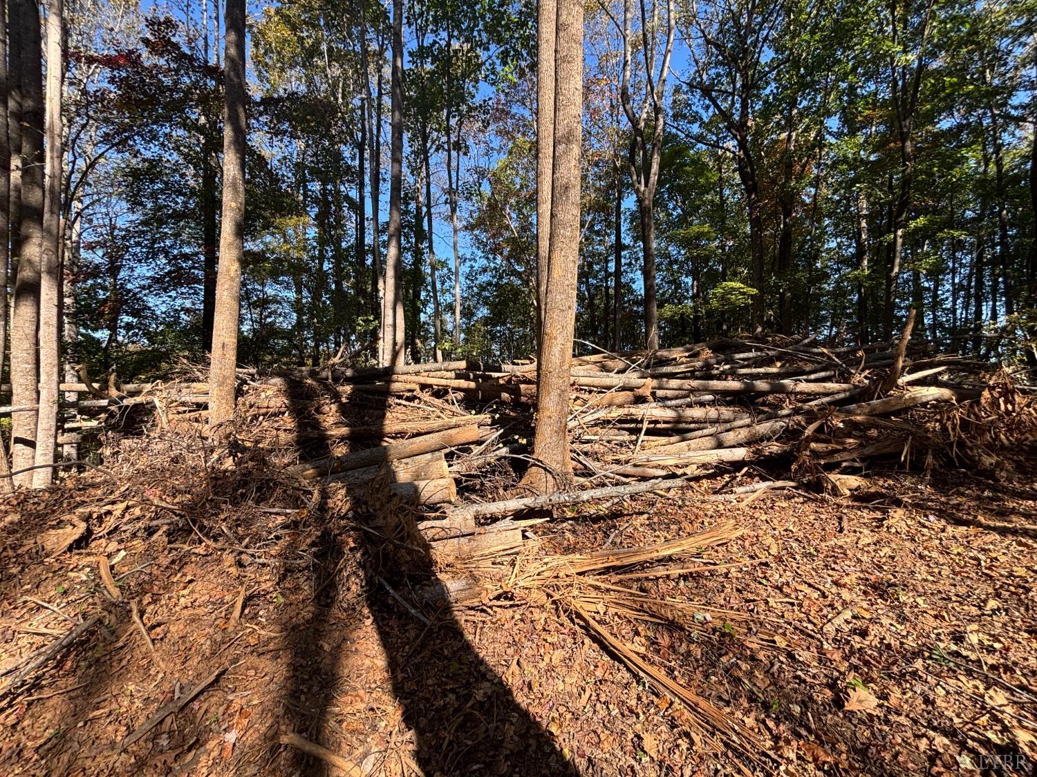 0 Locust Drive Cascade, VA 24069 - Photo 6 of 8 a view of water yard