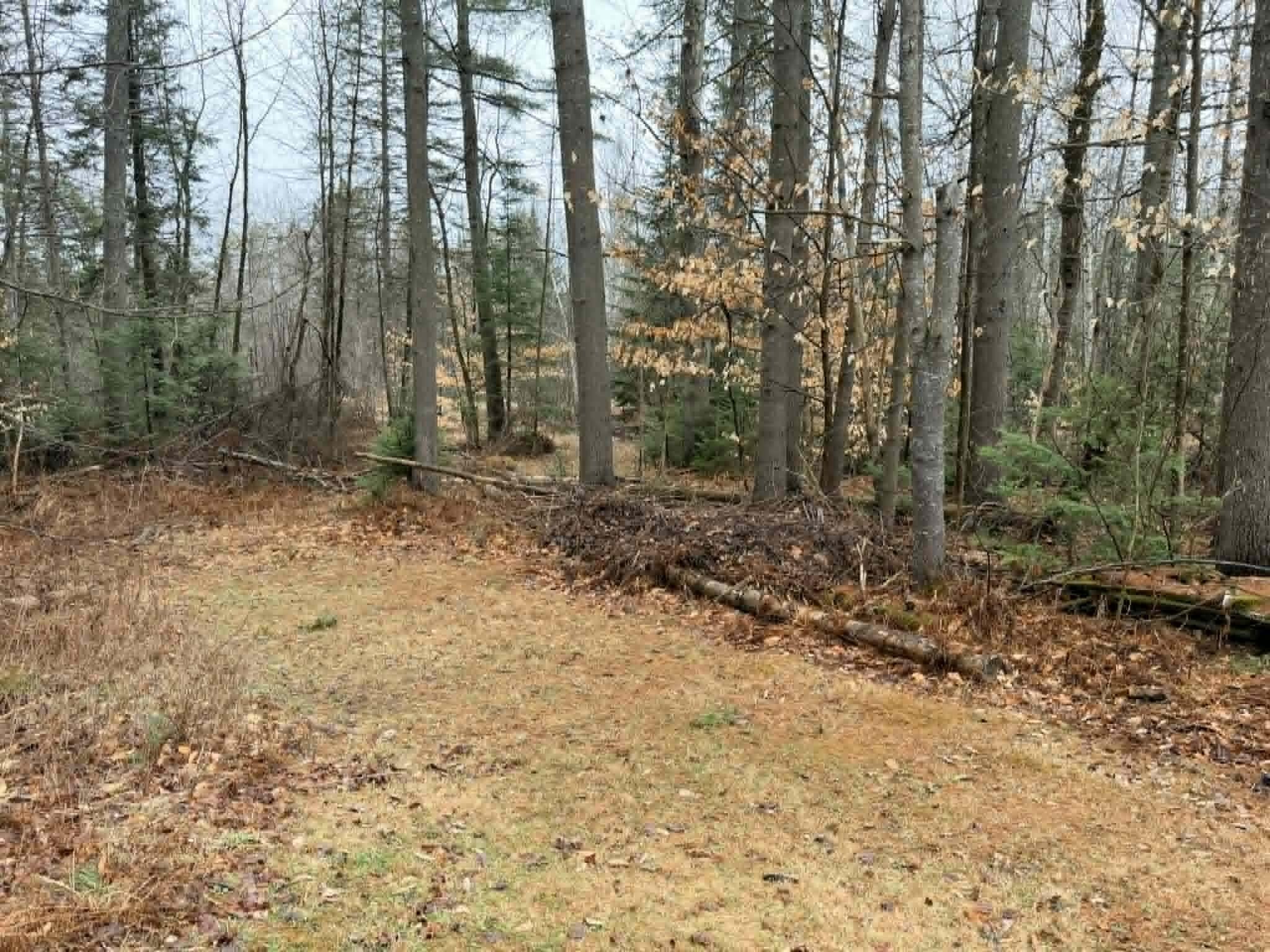 310 Mason Corner Road St. Albans, ME 04971 - Photo 40 of 43 5c68f3ba-adb0-4779-8f54-0413c41cf625