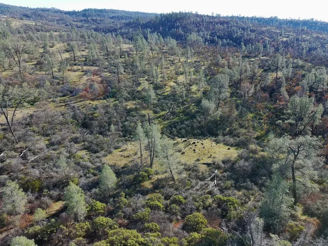 a view of a mountain in the distance