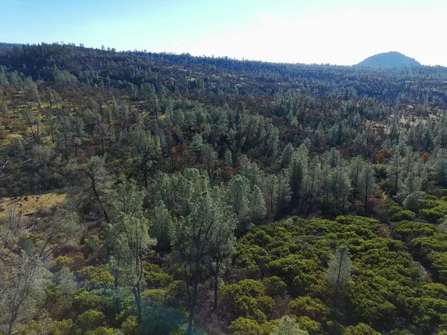 an aerial view of residential house and green field