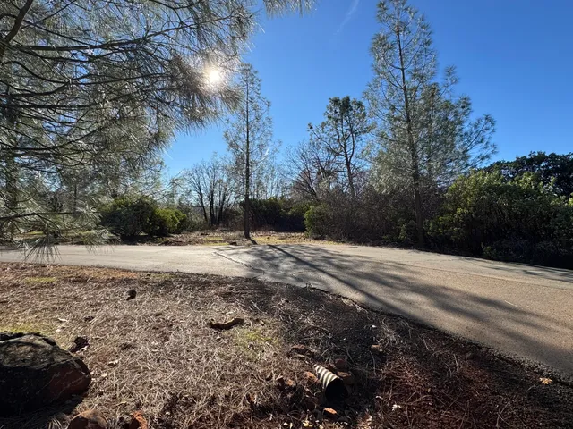 a view of a yard with plants and trees
