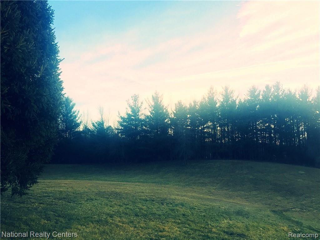 2922 North Lake George Road Dryden, MI 48428 - Photo 61 of 64 Surrounded by natural beauty