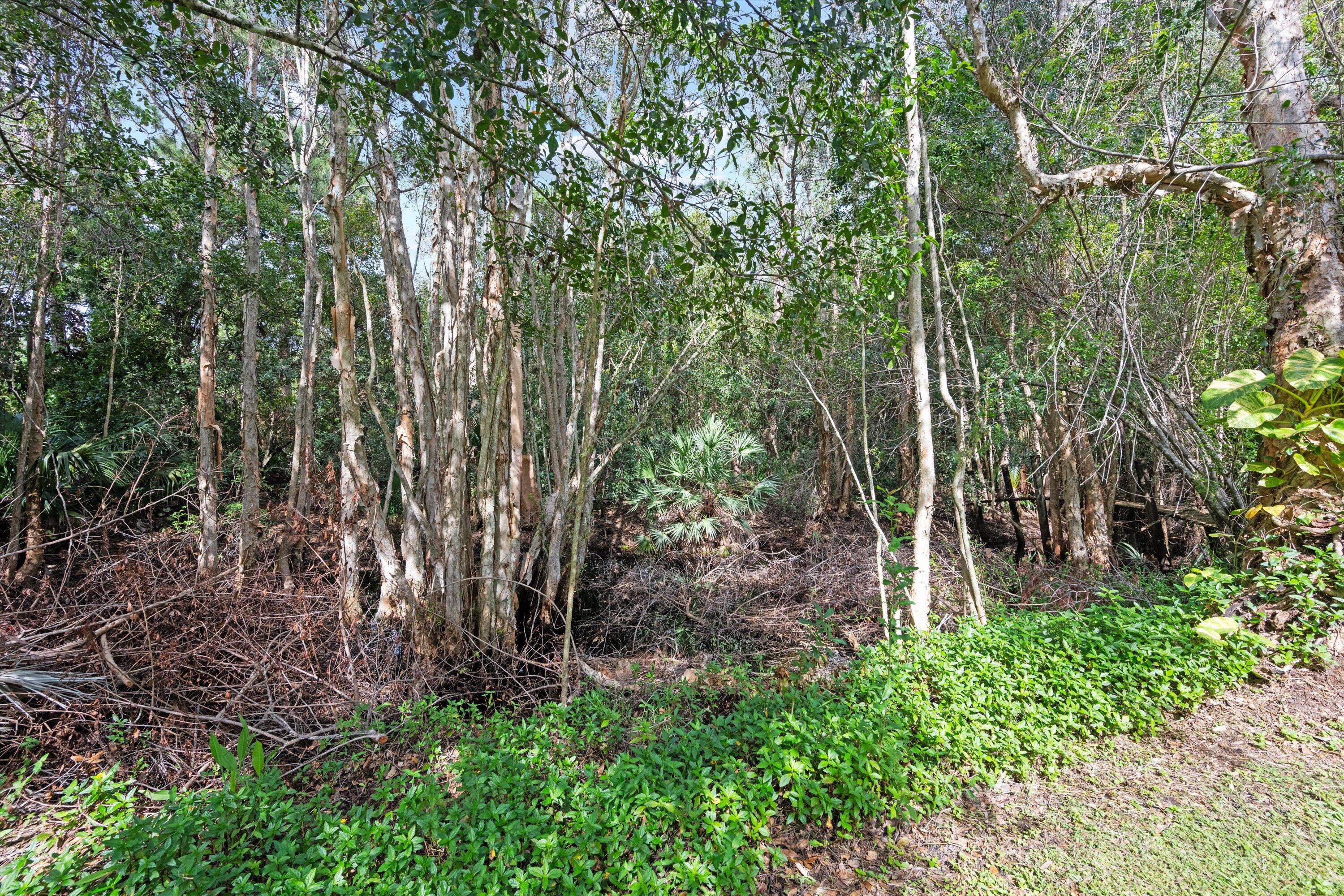 1950 Southwest Hackman Terrace Stuart, FL 34997 - Photo 43 of 51 44-DSC_8290