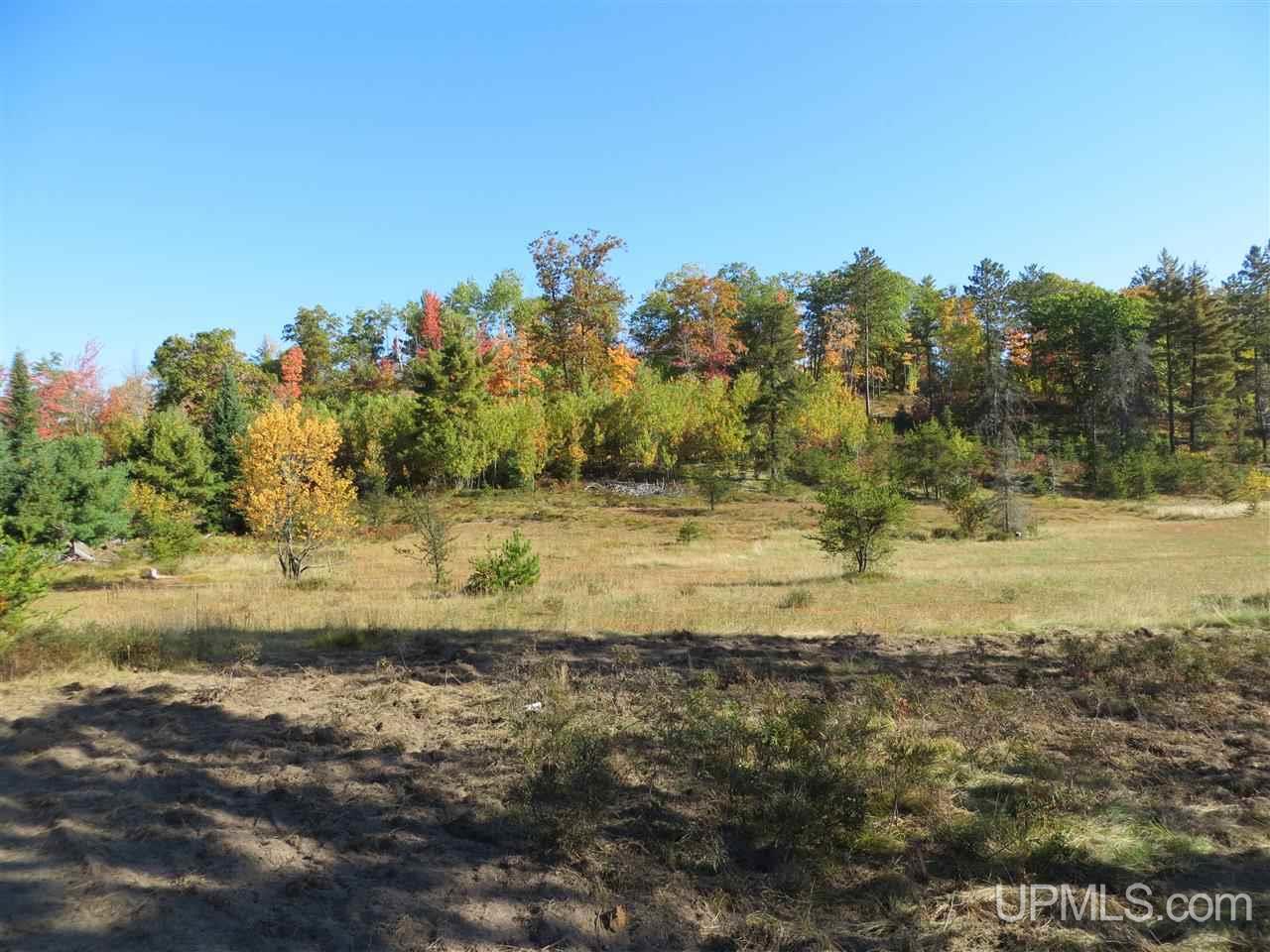 Tbd Co Rd Ff Republic, MI 49879 - Photo 5 of 29