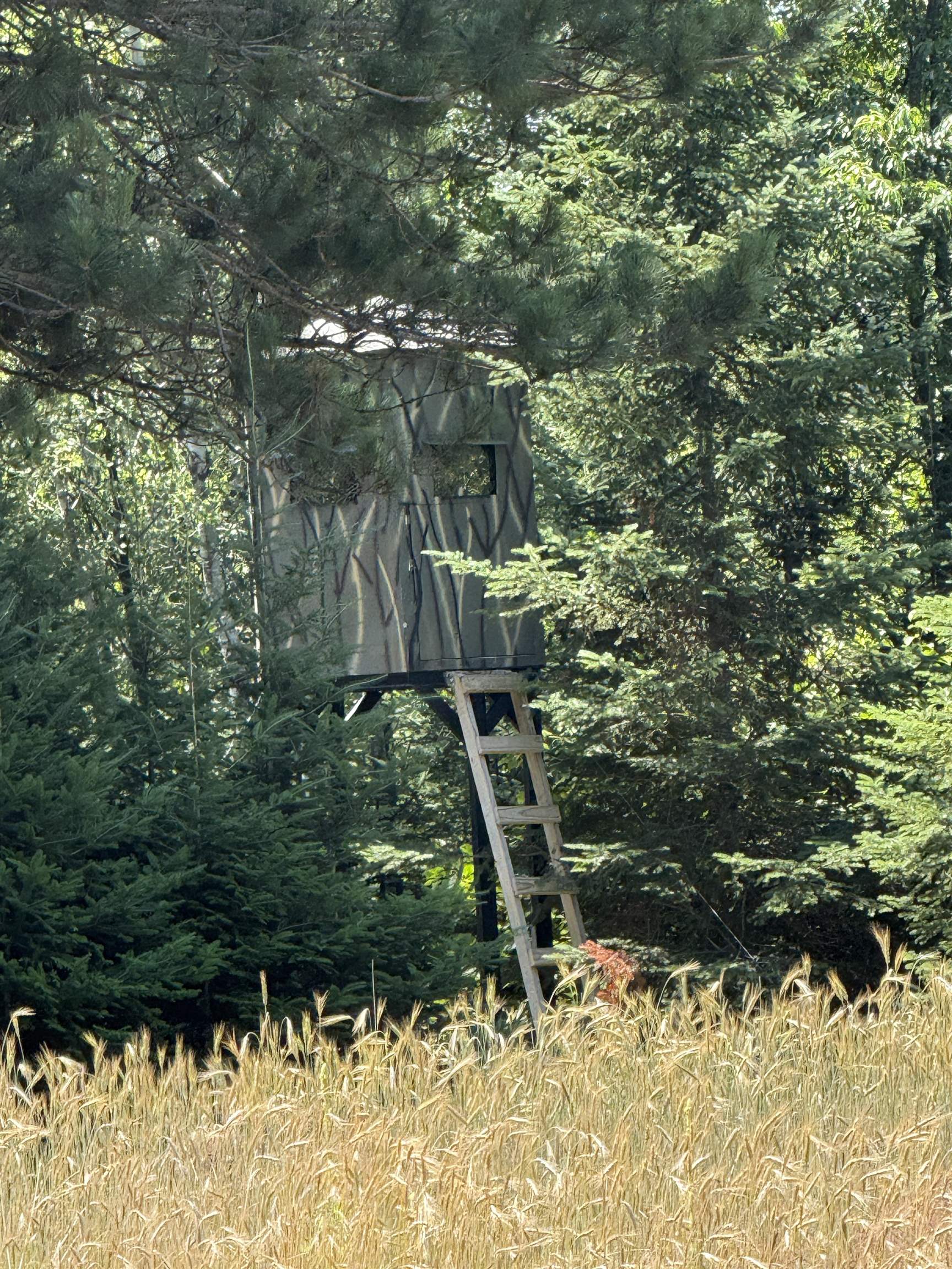 Red Hickory Road Eland, WI 54427 - Photo 6 of 28