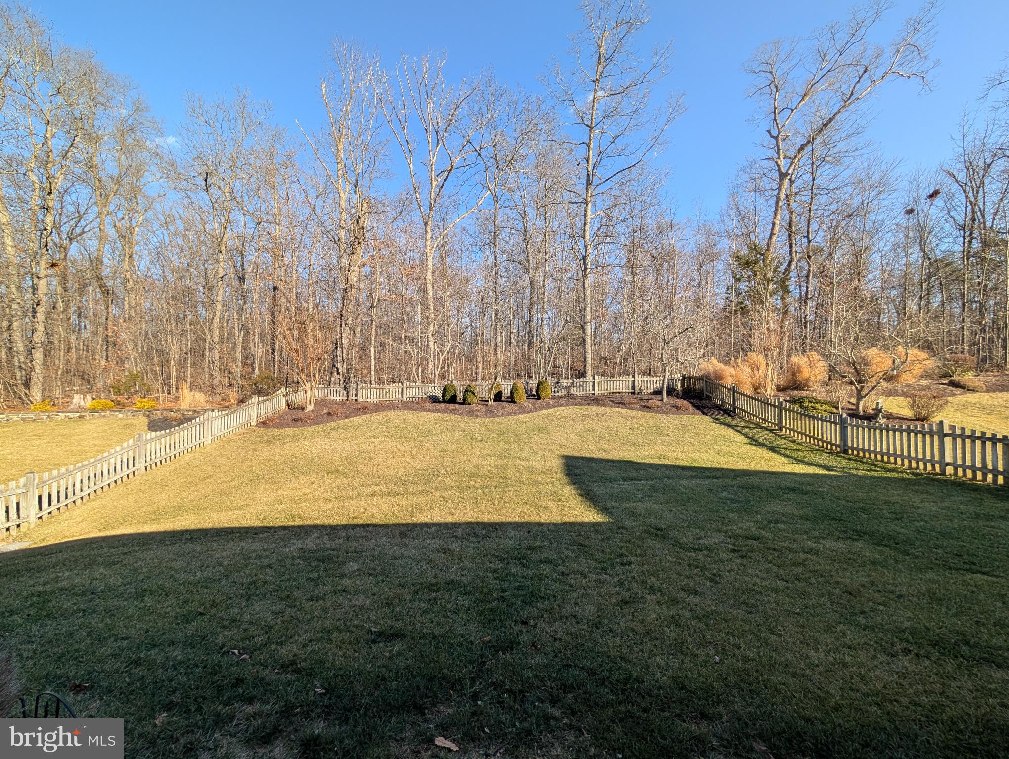 6767 Derby Run Way Gainesville, VA 20155 - Photo 36 of 37 a view of yard with large trees