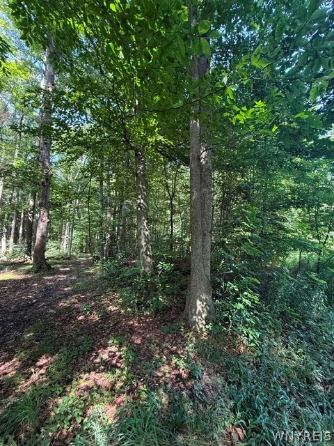 V/l Syler Road Warsaw, NY 14569 - Photo 5 of 7 Gallery Image 5