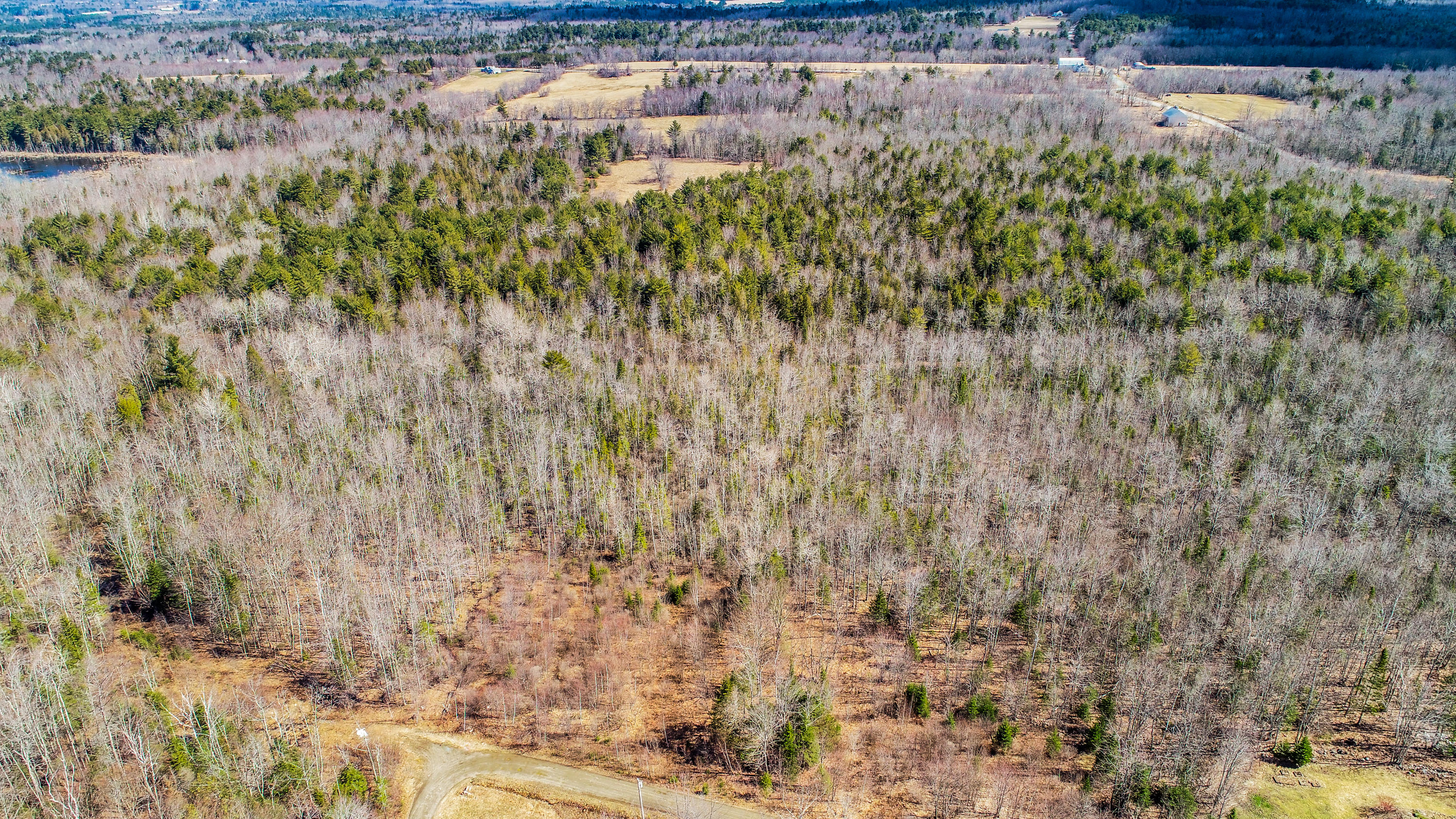 Lot 21 Belfast Road Northport, ME 04849 - Photo 18 of 23 Belfast Rd.-14