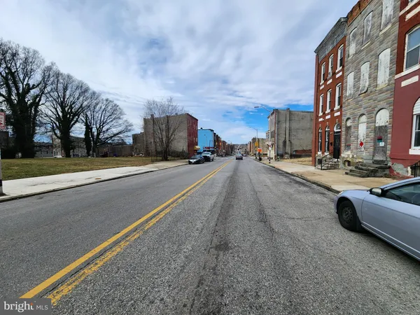 a street view with large trees