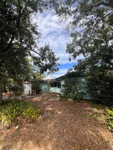 a view of a yard with plants and a large tree