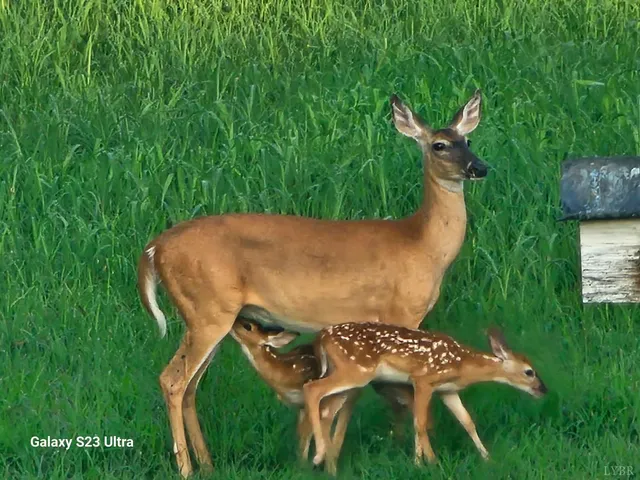 $245,000 | 1872 Wards Road, Hurt, VA 24563