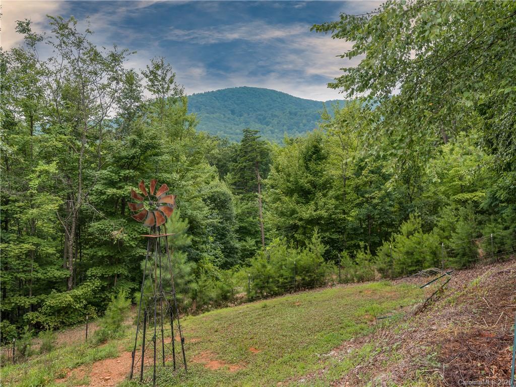 465 Judes Gap Road Mill Spring, NC 28756 - Photo 17 of 18