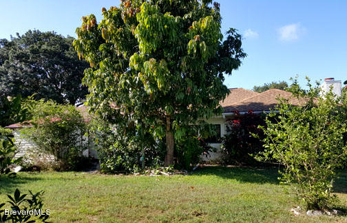 1336 Cromey Road Northeast Palm Bay, FL 32905 - Photo 20 of 25 Rear View