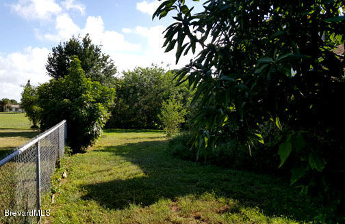 1336 Cromey Road Northeast Palm Bay, FL 32905 - Photo 25 of 25 Side Yard