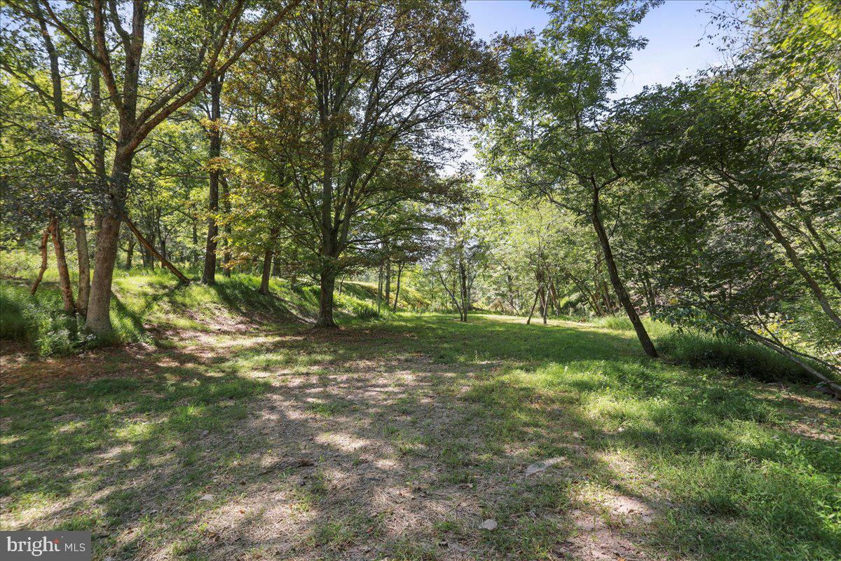 1956 Dove Hollow Road Mathias, WV 26812 - Photo 92 of 113 a view of a trees with a yard