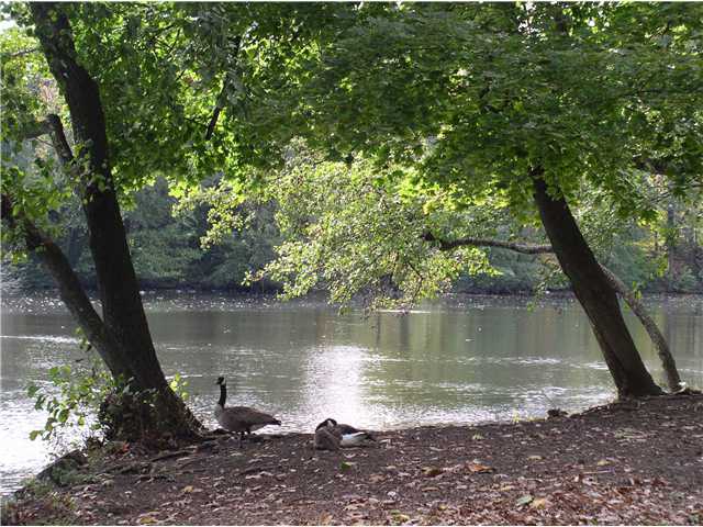 2750 Wildwood Road Columbus, OH 43231 - Photo 19 of 20 Gallery Image 19