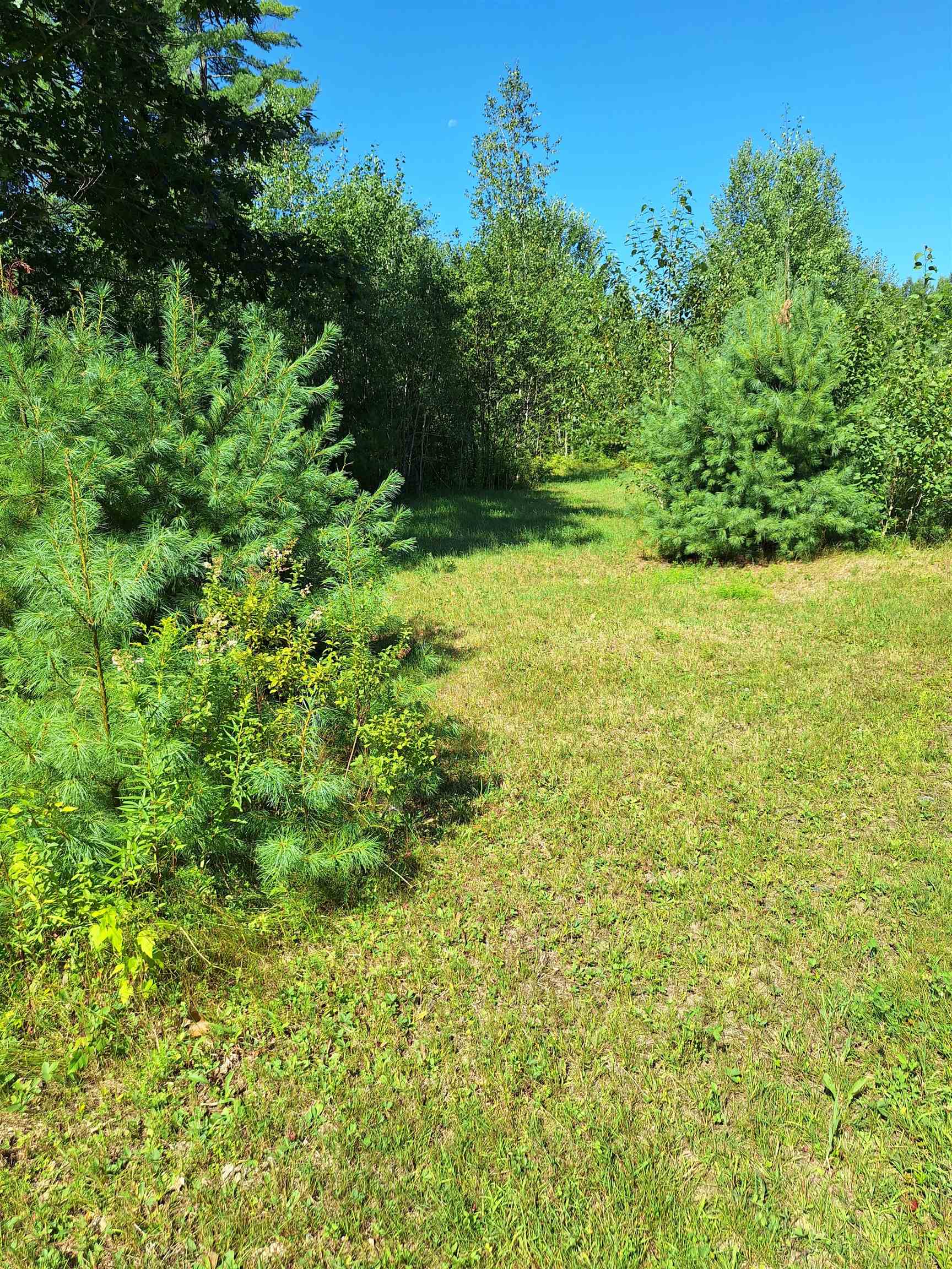 125 Hollins Road Haverhill, NH 03774 - Photo 6 of 13 Gallery Image 6
