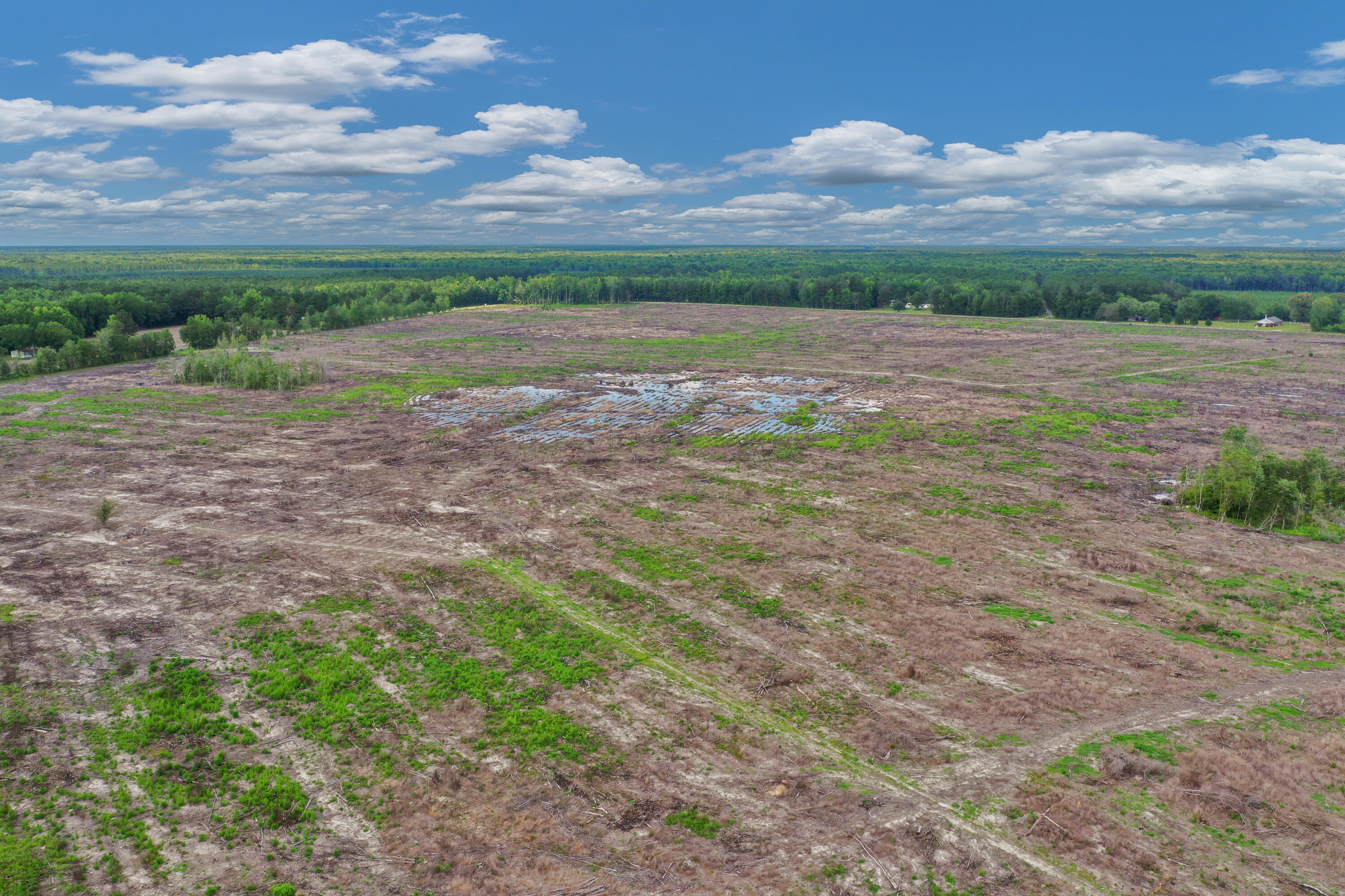 5120 North Brewington Road, Unit 2 Alcolu, SC 29001 - Photo 15 of 46 DJI_0530