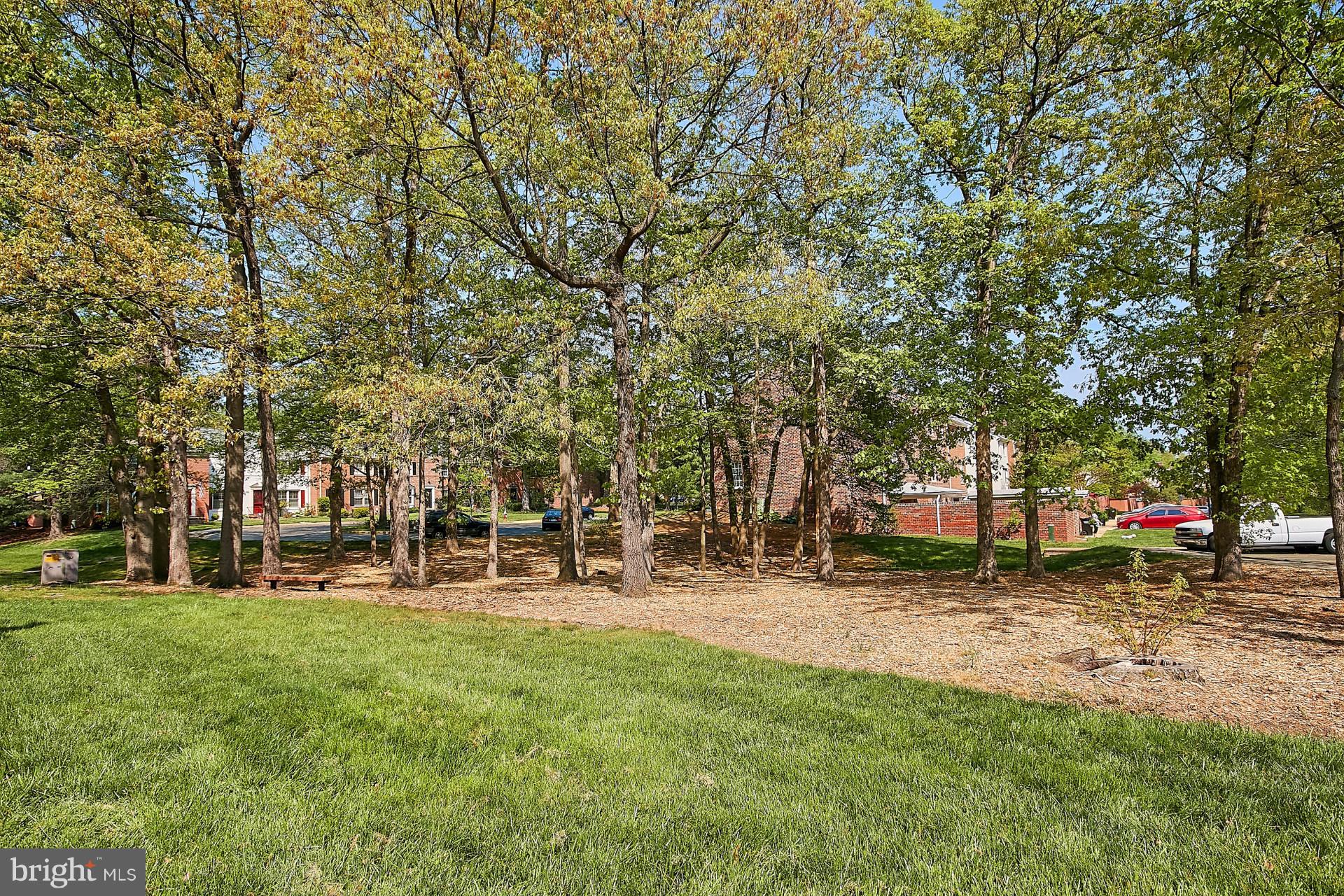 5959 Queenston Street Springfield, VA 22152 - Photo 29 of 30 View
