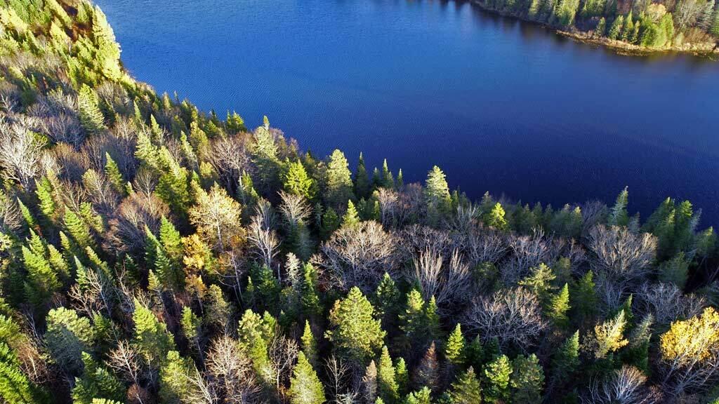Lot 18 South Oakfield Road Houlton, ME 04730 - Photo 8 of 32 land-waterfront-aroostook