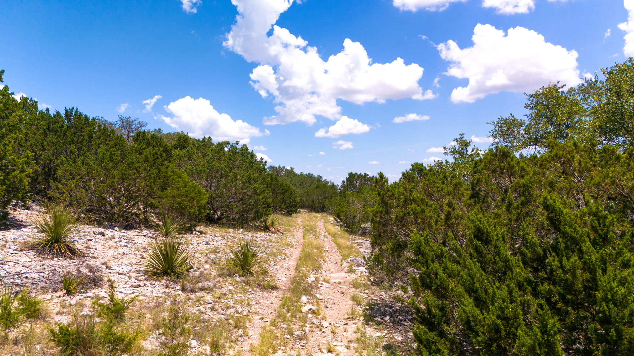 1534 Pasture Spring Road Harper, TX 78631 - Photo 28 of 34