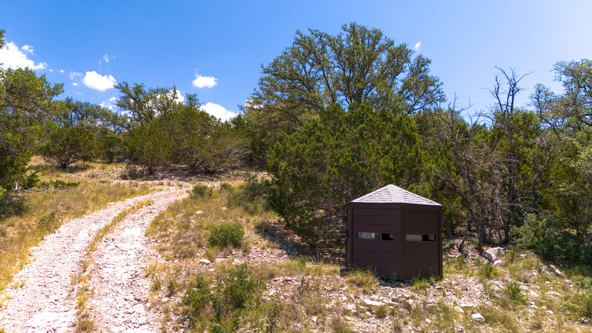 1534 Pasture Spring Road Harper, TX 78631 - Photo 29 of 34