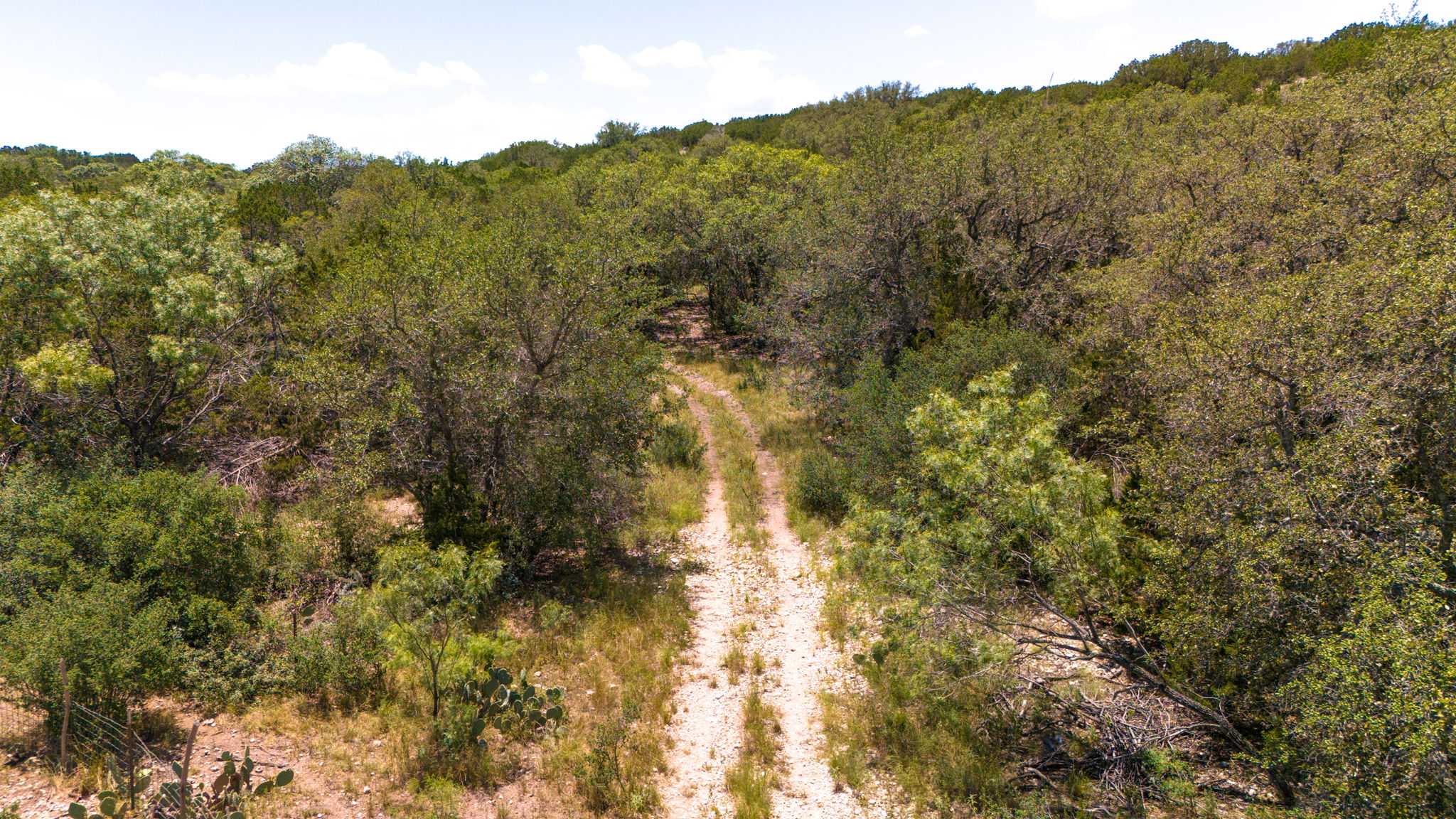 1534 Pasture Spring Road Harper, TX 78631 - Photo 31 of 34