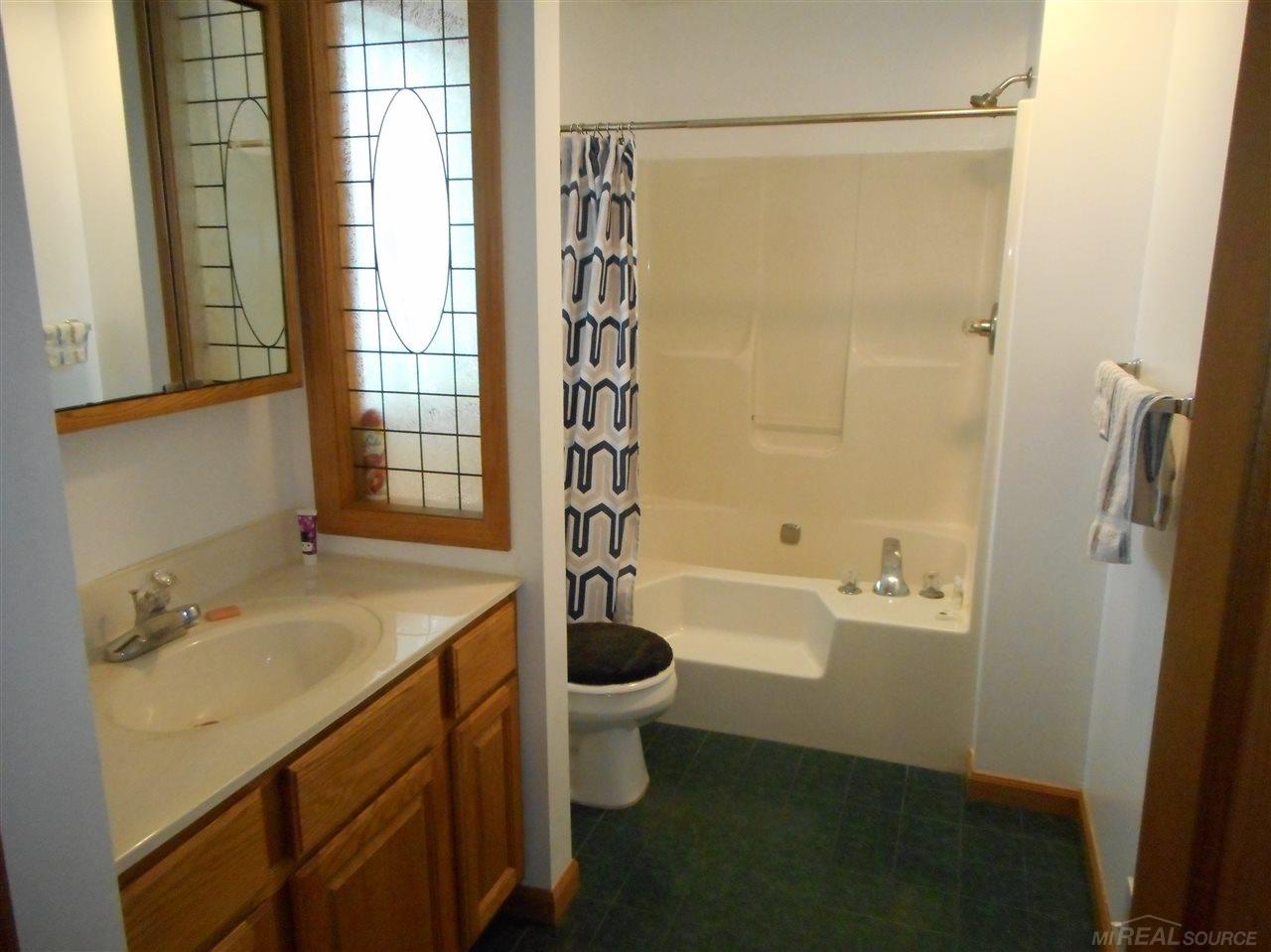 4271 Applegate Road Applegate, MI 48401 - Photo 13 of 20 31370906-12.JPG