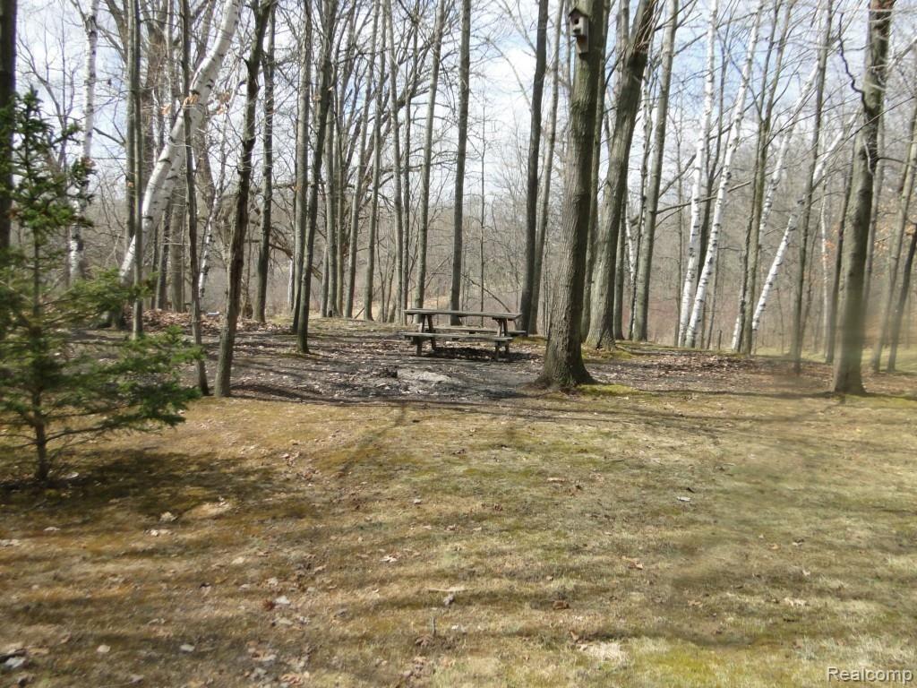 1483 Dockham Road Columbiaville, MI 48421 - Photo 33 of 38 Fire Pit.jpg